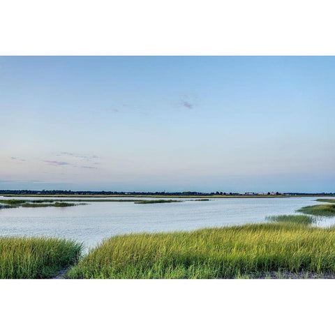 Summer Marsh Black Modern Wood Framed Art Print with Double Matting by Orlando
