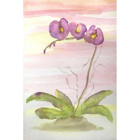 Orchid Trio 2 Black Modern Wood Framed Art Print with Double Matting by Pearson, Debbie