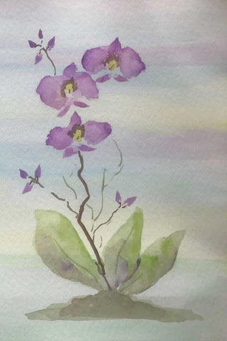 Orchid Duo 1 White Modern Wood Framed Art Print with Double Matting by Pearson, Debbie