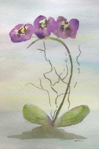 Orchid Duo 2 Black Ornate Wood Framed Art Print with Double Matting by Pearson, Debbie