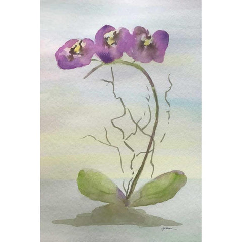Orchid Duo 2 Black Modern Wood Framed Art Print by Pearson, Debbie