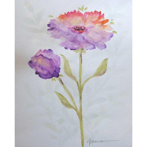 Poppies 1 White Modern Wood Framed Art Print by Pearson, Debbie