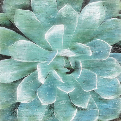 Succulent Memory 1 Black Modern Wood Framed Art Print by Pearson, Debbie