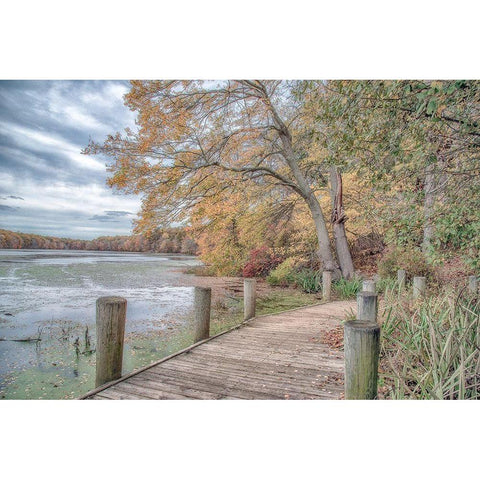 Blydenburg Park Black Modern Wood Framed Art Print by DeLuca, Pat