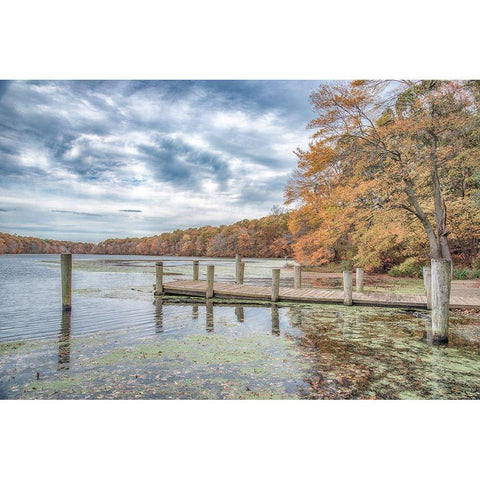 Blydenburg Park 2 White Modern Wood Framed Art Print by DeLuca, Pat