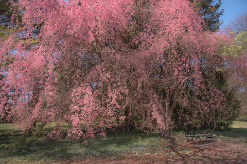 Spectacular Message White Modern Wood Framed Art Print with Double Matting by DeLuca, Pat