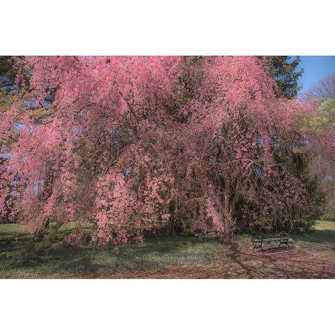 Spectacular Message Black Modern Wood Framed Art Print by DeLuca, Pat