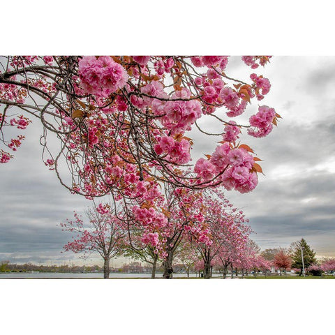 Spiritual Switch 1 White Modern Wood Framed Art Print by DeLuca, Pat