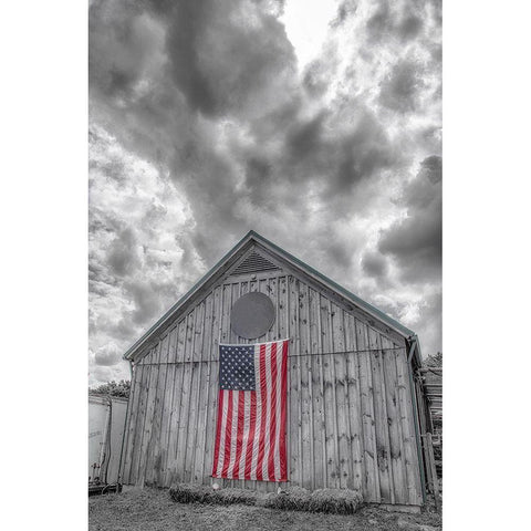 Scandalous Morning 1 White Modern Wood Framed Art Print by DeLuca, Pat