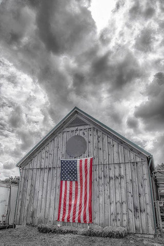 Scandalous Morning 1 White Modern Wood Framed Art Print with Double Matting by DeLuca, Pat