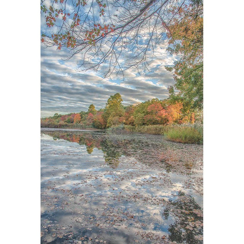Bayport Fall Black Modern Wood Framed Art Print by DeLuca, Pat