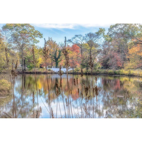 Bayshore Black Modern Wood Framed Art Print by DeLuca, Pat