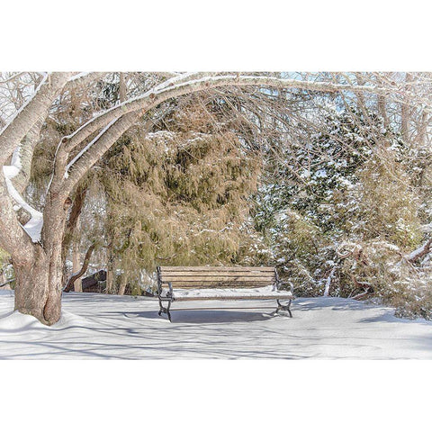 Arboretum 1 Black Modern Wood Framed Art Print with Double Matting by DeLuca, Pat