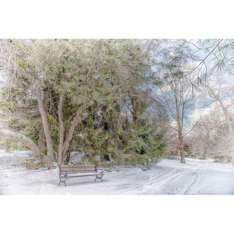 Arboretum 2 White Modern Wood Framed Art Print by DeLuca, Pat