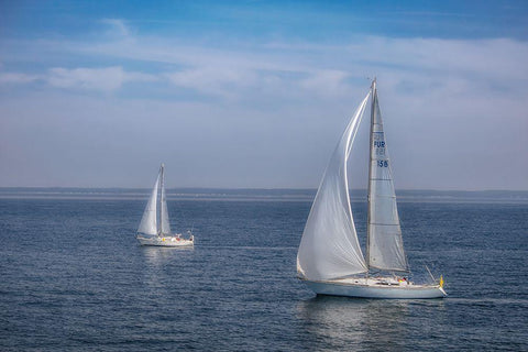 Sail Boats White Modern Wood Framed Art Print with Double Matting by DeLuca, Pat