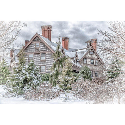 Aboretum December 1 Black Modern Wood Framed Art Print with Double Matting by DeLuca, Pat