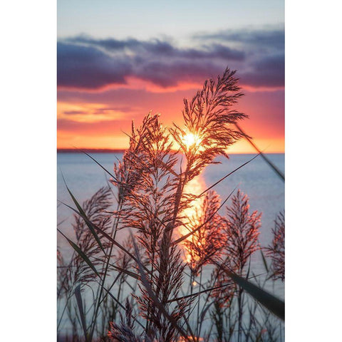 Exhilarated Potential Black Modern Wood Framed Art Print with Double Matting by DeLuca, Pat
