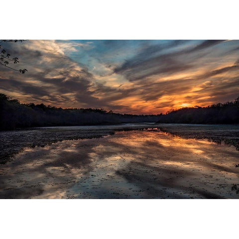 Priority Of Reflection Black Modern Wood Framed Art Print with Double Matting by DeLuca, Pat