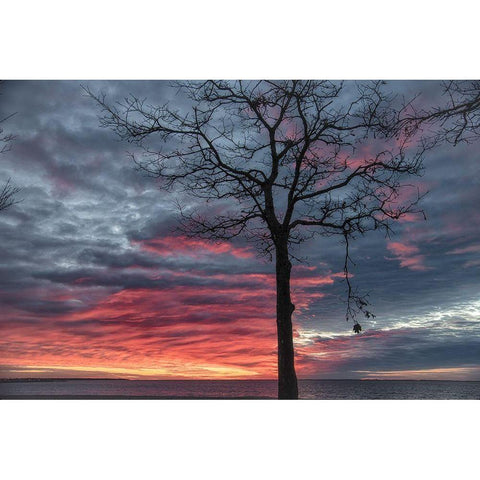 Distorted Solution Black Modern Wood Framed Art Print with Double Matting by DeLuca, Pat