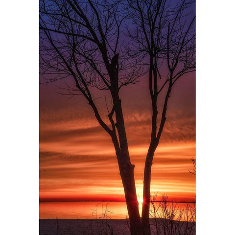 Love And Fire Black Modern Wood Framed Art Print by DeLuca, Pat