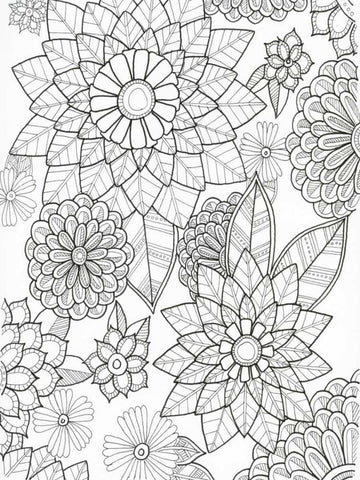 Floral White Modern Wood Framed Art Print with Double Matting by Varacek, Pam