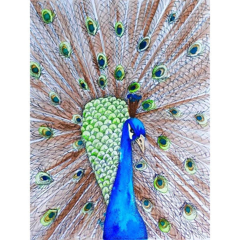 Peacock King White Modern Wood Framed Art Print by Varacek, Pam