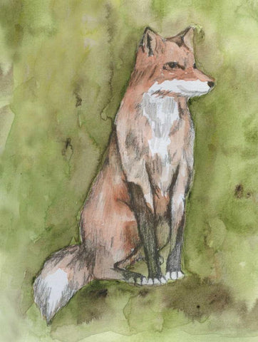 Fantastic Fox Black Ornate Wood Framed Art Print with Double Matting by Varacek, Pam