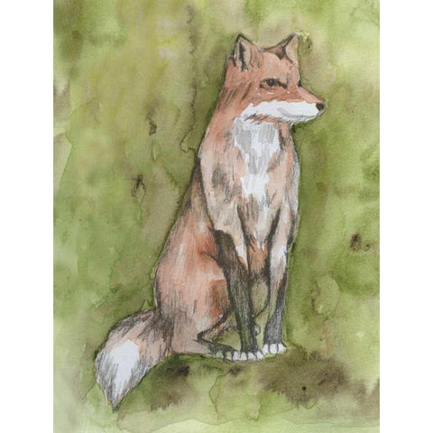 Fantastic Fox Gold Ornate Wood Framed Art Print with Double Matting by Varacek, Pam