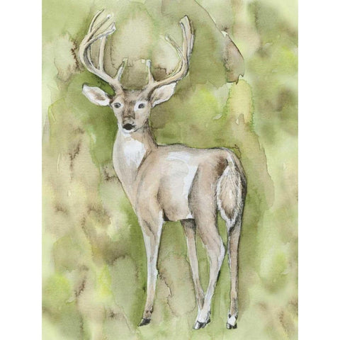 Sterling Deer Gold Ornate Wood Framed Art Print with Double Matting by Varacek, Pam