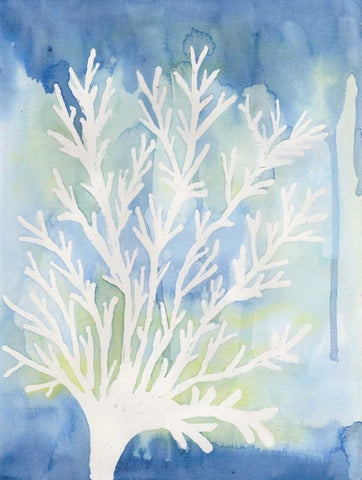 Blue Coral White Modern Wood Framed Art Print with Double Matting by Varacek, Pam