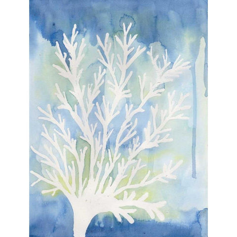 Blue Coral Gold Ornate Wood Framed Art Print with Double Matting by Varacek, Pam