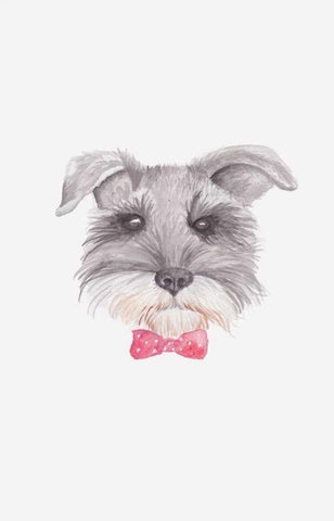 Bowtie Blackie White Modern Wood Framed Art Print with Double Matting by Varacek, Pam