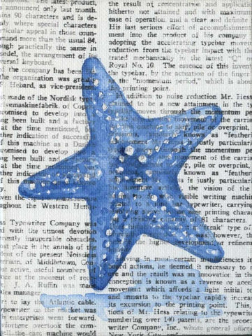 Written Starfish Black Ornate Wood Framed Art Print with Double Matting by Varacek, Pam