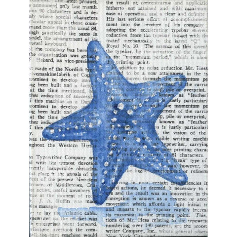 Written Starfish Black Modern Wood Framed Art Print by Varacek, Pam