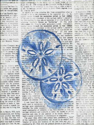 Written Sand Dollars White Modern Wood Framed Art Print with Double Matting by Varacek, Pam