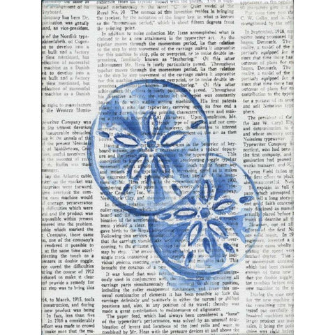 Written Sand Dollars Black Modern Wood Framed Art Print by Varacek, Pam