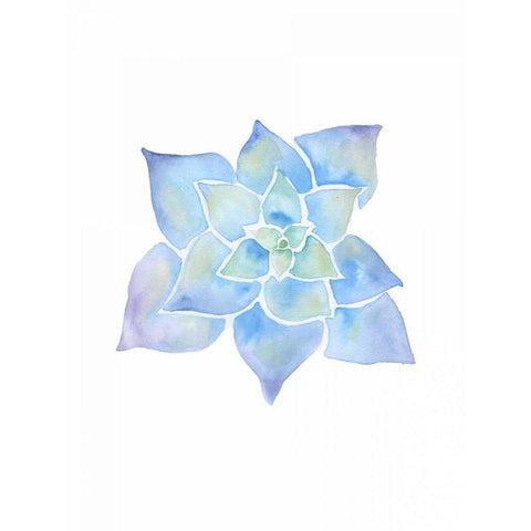 Inspiring Lotus Black Modern Wood Framed Art Print with Double Matting by Varacek, Pam