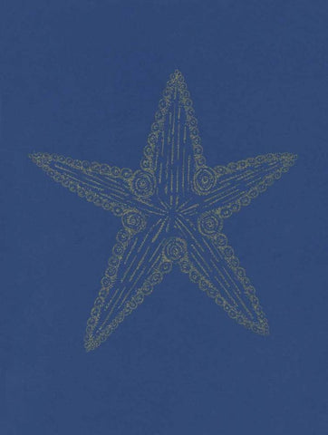 Glowing Indigo Starfish White Modern Wood Framed Art Print with Double Matting by Varacek, Pam