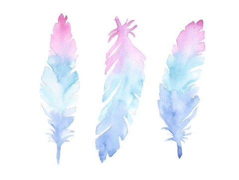 Vibrant Feathers White Modern Wood Framed Art Print with Double Matting by Varacek, Pam