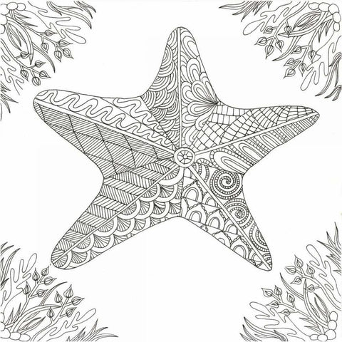 Starfish Amongst Weeds Black Modern Wood Framed Art Print with Double Matting by Varacek, Pam