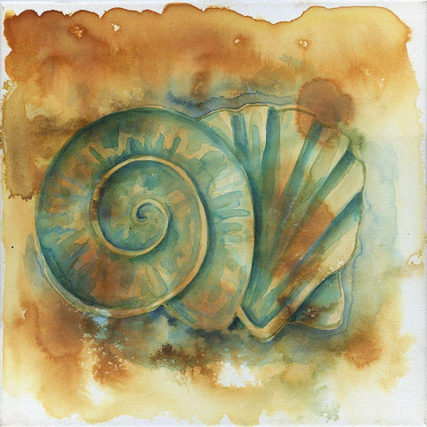 Muddy Shells Gold Ornate Wood Framed Art Print with Double Matting by Varacek, Pam