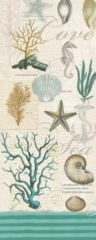 New Beachcomber Coastal White Modern Wood Framed Art Print with Double Matting by Lula Bijoux and Company