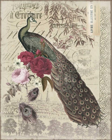New Peacock 1 Black Ornate Wood Framed Art Print with Double Matting by Allen, Candace