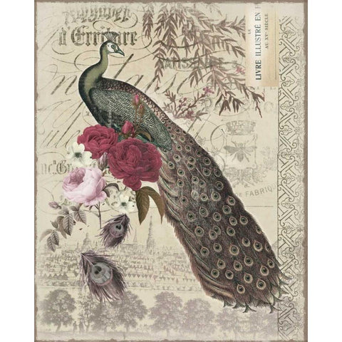 New Peacock 1 Black Modern Wood Framed Art Print by Allen, Candace