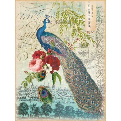 New Peacock 1 Gold Ornate Wood Framed Art Print with Double Matting by Lula Bijoux and Company