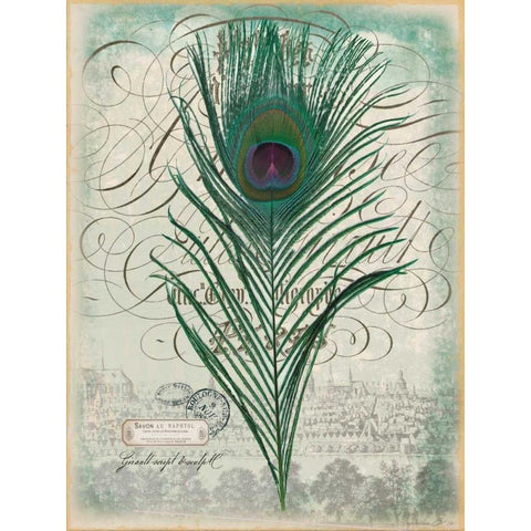 Peacock Feather 2 White Modern Wood Framed Art Print by Lula Bijoux and Company