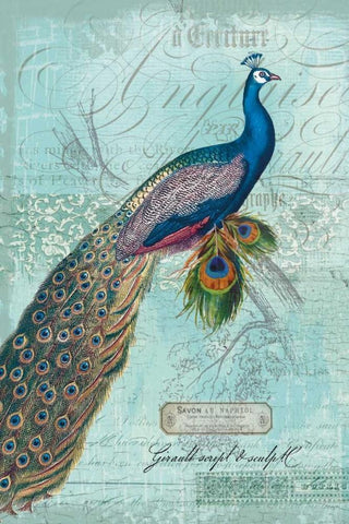 Peacock Nouveau White Modern Wood Framed Art Print with Double Matting by Lula Bijoux and Company