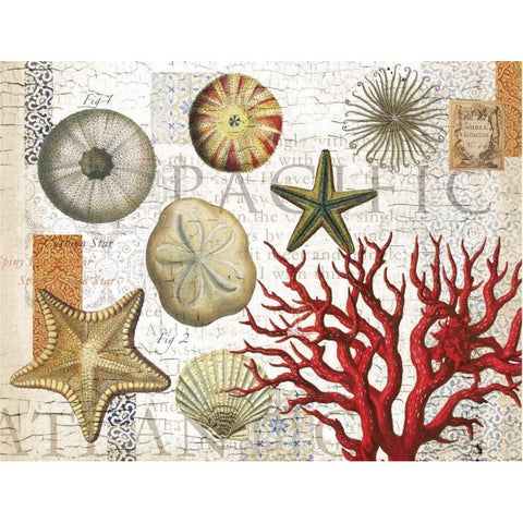 Sea Treasures Gold Ornate Wood Framed Art Print with Double Matting by Allen, Candace