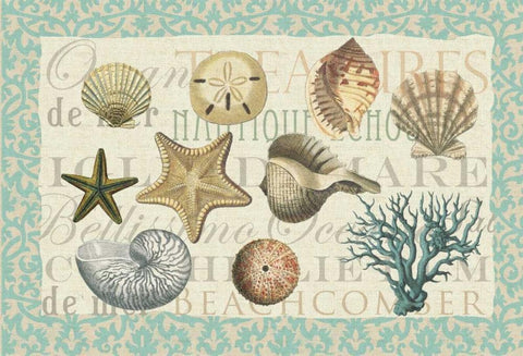 Sea Shell Collection White Modern Wood Framed Art Print with Double Matting by Allen, Candace