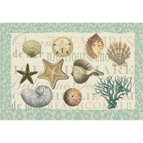 Sea Shell Collection Gold Ornate Wood Framed Art Print with Double Matting by Allen, Candace